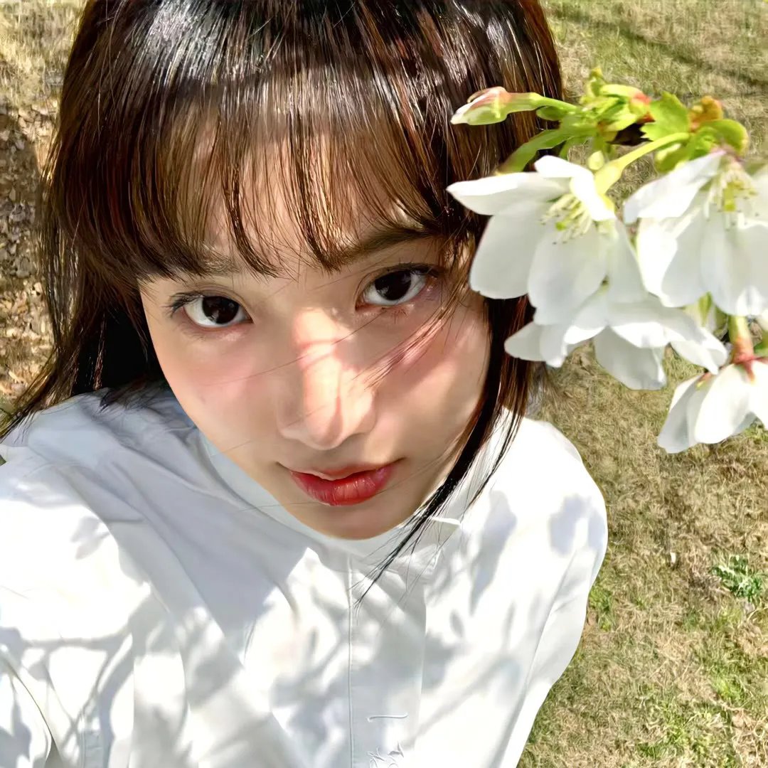 金秋桂花迟