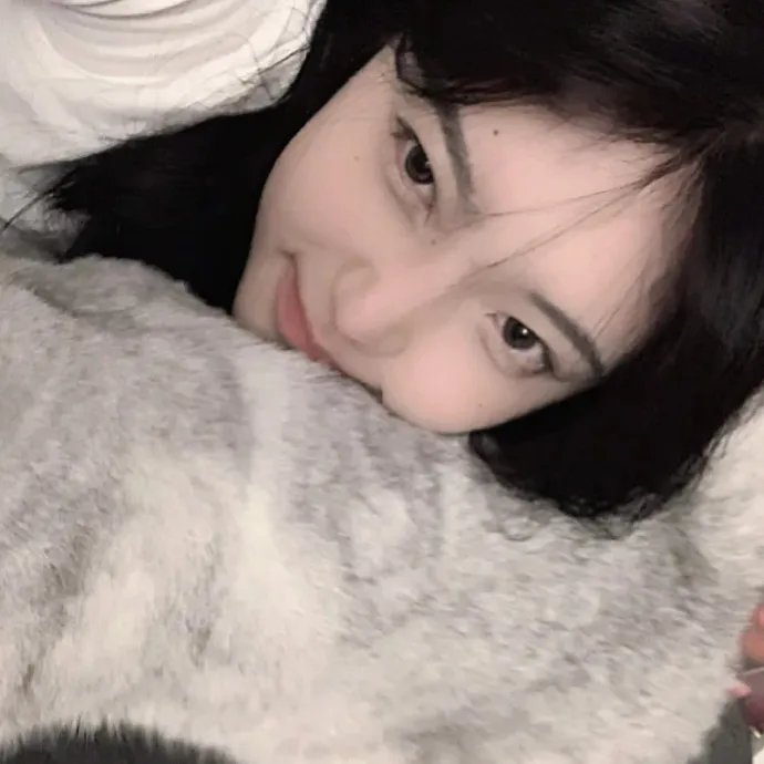 来自中国的熊猫